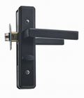 Panel Kunci Pintu Tanggam Panjang Klasik Menangani Elektroplate