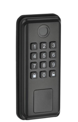 Smart Home Waterproof Electric Rim Lock Dengan Kontrol APP WIFI Gerbang Pintu Sidik Jari Smart