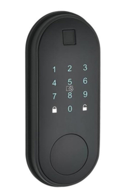 Smart Home Waterproof Electric Rim Lock Dengan Kontrol APP WIFI Gerbang Pintu Sidik Jari Smart
